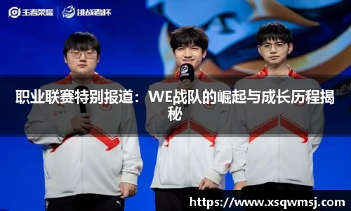 职业联赛特别报道：WE战队的崛起与成长历程揭秘