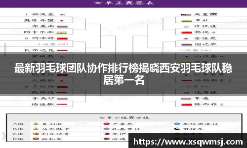 最新羽毛球团队协作排行榜揭晓西安羽毛球队稳居第一名