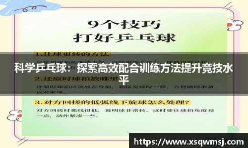 科学乒乓球：探索高效配合训练方法提升竞技水平